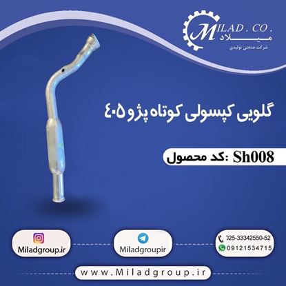 تصویر گلویی کپسولی کوتاه پژو 405